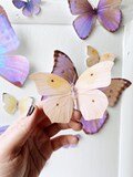 Giant Paper Butterflies Pastel Sunset