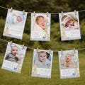 One Silly Goose Birthday Photo Milestone Banner Goose 1st Birthday Bunting Banner Editable Template Monthly Milestone Photo Collage Decor