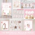 One Silly Goose Birthday Invite Goose First Birthday Party Decor One Silly Goose 1st Birthday Bundle Goose Theme Party Goose Birthday Decor