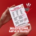 What’s Your Cupid’s Name? Game, Printable Valentine’s Day Party Activity for Kids,Teens & Adults | What’s Your Name game Valentines Activity