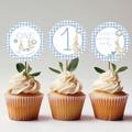 One Silly Goose Birthday Party Cupcake Toppers Editable Cake topper Goose themed Party Silly Goose First 1st Birthday Party Blue Gingham
