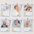 One Silly Goose Birthday Photo Milestone Banner Goose 1st Birthday Bunting Banner Editable Template Monthly Milestone Photo Collage Decor