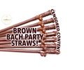 Brown Bachelorette Straws,Wine Bachelorette Party Favor,Penis Decor,Rip Single Life,Vino Before Vows,New Orleans Bachelorette,Two Grooms