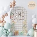 One Silly Goose Birthday Arch Background Goose First Birthday Party Decor Balloon Arch Backdrop One Silly Goose 1st Birthday Photo Backdrop