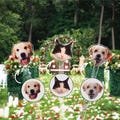 Wedding Pet Stir Sticks, 50 Pcs Double-Sided Dog Stir Stick, Watercolor Acrylic Cocktail Stirrers, Wedding Swizzle, Wedding Drink Stirrers
